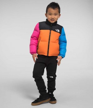 Boys' The North Face 1996 Retro Nuptse Down Jacket Multicolor | TORONTO NQDIHM