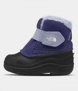 Boys' The North Face Alpenglow II Winter Boots Blue / Black | OTTAWA NHDKYV