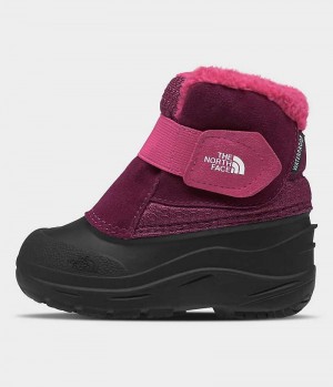 Boys' The North Face Alpenglow II Winter Boots Pink / Black | CANADA JZUAHK