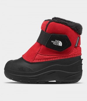 Boys' The North Face Alpenglow II Winter Boots Red / Black | TORONTO YRIETS