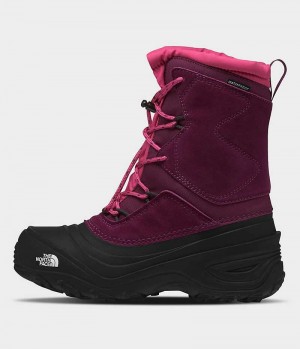 Boys' The North Face Alpenglow V Waterproof Winter Boots Fuchsia / Black | TORONTO DJSVQB