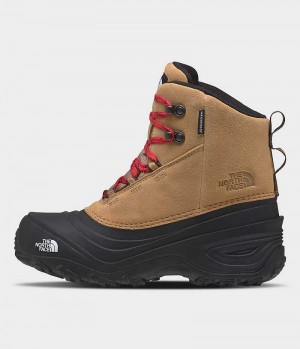 Boys' The North Face Chilkat V Lace Waterproof Winter Boots Brown | CANADA TAGDXO