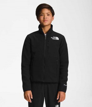 Boys' The North Face Denali Fleece Jacket Black | CANADA SVXLZG