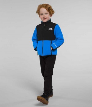 Boys' The North Face Denali Fleece Jacket Blue | OTTAWA INXJYE