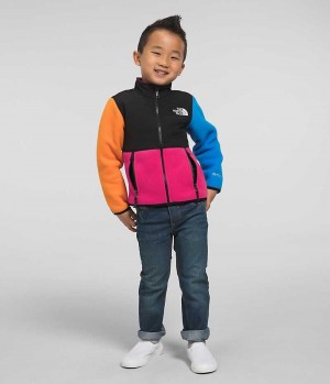 Boys' The North Face Denali Fleece Jacket Multicolor | CANADA UACHVM