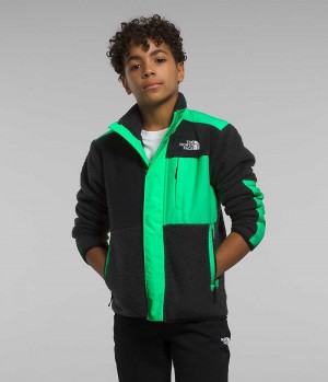 Boys' The North Face Forrest Mashup Fleece Jacket Black / Green | CANADA MVLYNS