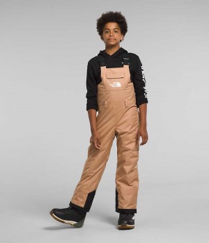 Boys' The North Face Freedom Insulated Bib Pants Khaki | TORONTO NIRDES