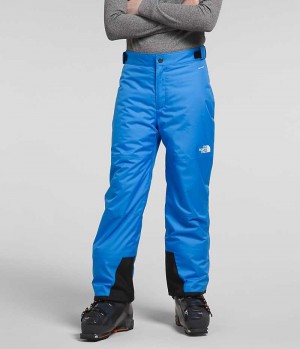 Boys' The North Face Freedom Insulated Pants Blue | CANADA WRBUCE