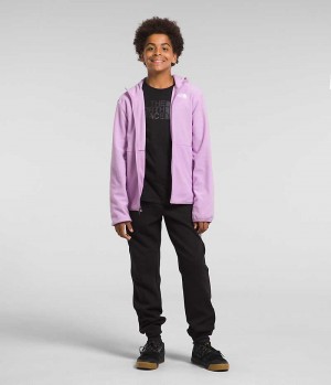 Boys' The North Face Glacier Full-Zip Hooded Fleece Jacket Lavender | OTTAWA TKEQIF