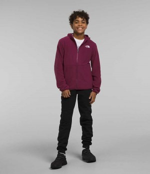 Boys' The North Face Glacier Full-Zip Hooded Fleece Jacket Red | CANADA ALBUIZ