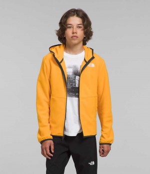 Boys' The North Face Glacier Full-Zip Hooded Fleece Jacket Gold | TORONTO XUQSPG