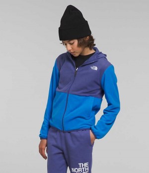 Boys' The North Face Glacier Full-Zip Hooded Fleece Jacket Blue | OTTAWA AYUGIH