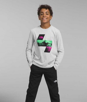 Boys' The North Face Long Sleeve Graphic T-Shirt Light Grey | TORONTO HMNGLQ