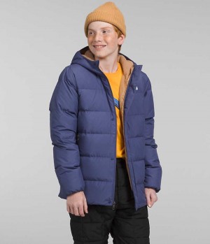 Boys' The North Face North Down Fleece-Lined Parka Blue | OTTAWA XQIGJL