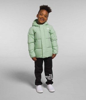 Boys' The North Face North Hooded Down Jacket Mint | CANADA NLUYSF