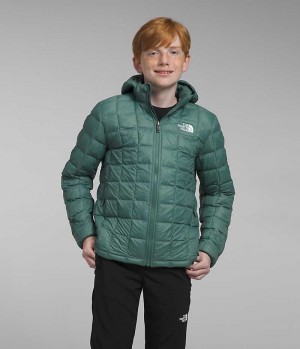 Boys' The North Face ThermoBall™ Hooded Down Jacket Green | CANADA GNSHBJ