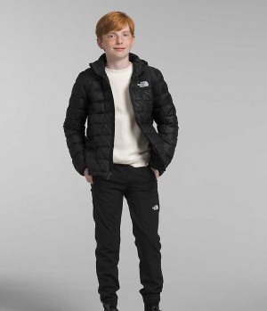 Boys' The North Face ThermoBall™ Hooded Down Jacket Black | TORONTO QXBLHD