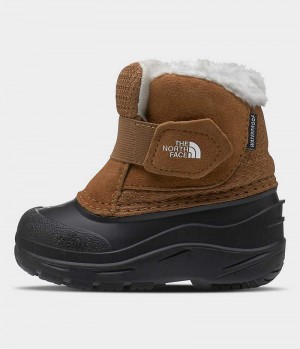 Girls' The North Face Alpenglow II Winter Boots Brown | OTTAWA KFSCPJ