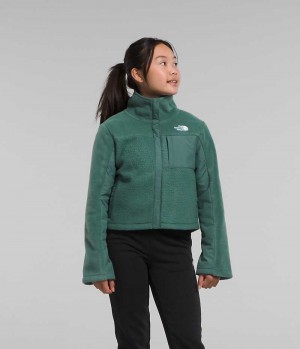 Girls' The North Face Fleece Mashup Fleece Jacket Green | CANADA QMGAHR