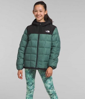 Girls' The North Face Lhotse Down Jacket Green | OTTAWA JGKRYU