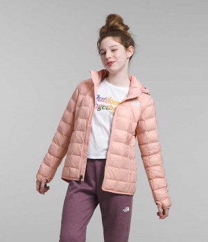 Girls' The North Face ThermoBall™ Hooded Down Jacket Pink | OTTAWA AYRBLG