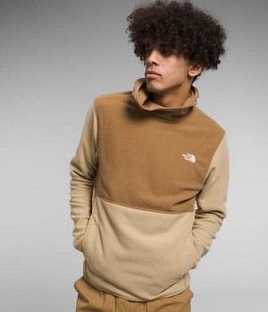 Men's The North Face Alpine Polartec® 100 Pullover Khaki / Brown | TORONTO AJSQLG