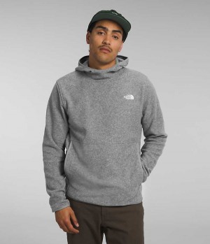 Men's The North Face Alpine Polartec® 100 Pullover Grey | CANADA IDLZXH