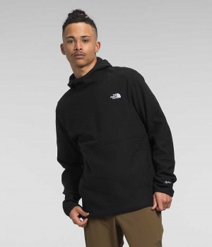 Men's The North Face Alpine Polartec® 100 Pullover Black | OTTAWA EAHIZJ