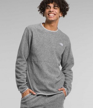 Men's The North Face Alpine Polartec® 100 Crew Pullover Grey | OTTAWA HMNPES