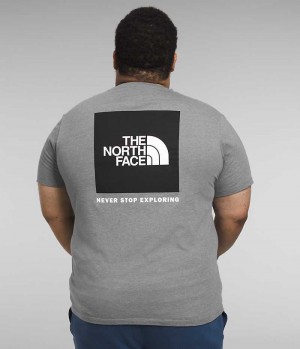 Men's The North Face Big Short Sleeve Box NSE T-Shirt Grey | OTTAWA UJOZDX