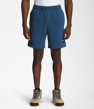 Men's The North Face Box NSE Shorts Blue | CANADA ETVLIN