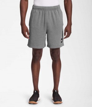 Men's The North Face Box NSE Shorts Grey | TORONTO XGNRKL