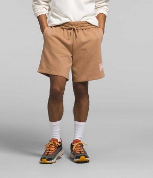 Men's The North Face Box NSE Shorts Khaki | OTTAWA VWELPK