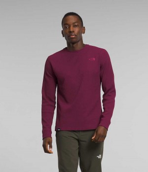 Men's The North Face Canyon Fog Thermal Long Sleeve Pullover Fuchsia | OTTAWA UWGYZV