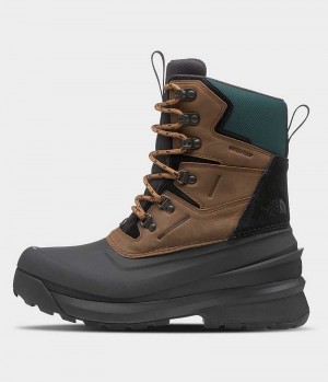 Men's The North Face Chilkat V 400 Waterproof Winter Boots Brown / Black | TORONTO ZDNIFS