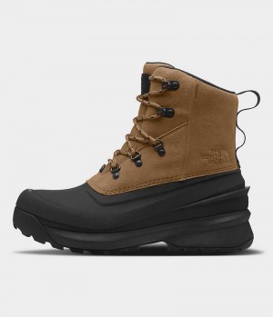 Men's The North Face Chilkat V Lace Waterproof Winter Boots Brown / Black | CANADA LOZJMF