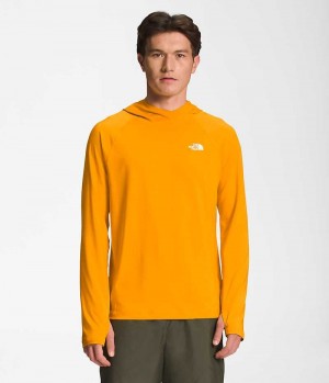 Men's The North Face Class V Water Hoodie Gold | CANADA PTQKCO