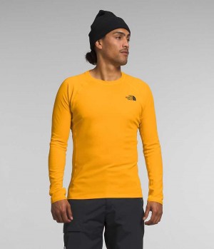 Men's The North Face FD Pro 160 Crew T-Shirt Gold | CANADA HVYMBF