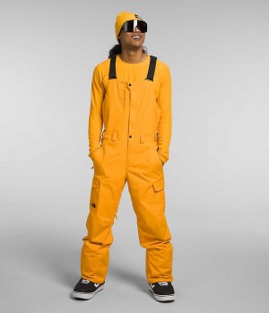 Men's The North Face Freedom Bib Pants Gold | TORONTO QIFARH