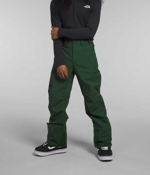 Men's The North Face Freedom Pants Green | OTTAWA LVWERZ