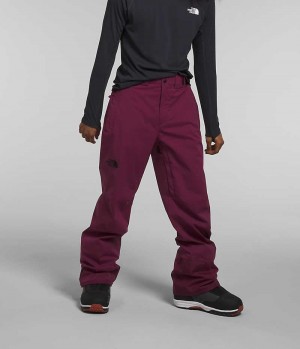 Men's The North Face Freedom Stretch Pants Fuchsia | OTTAWA LGDPXN