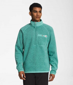 Men's The North Face Gordon Lyons ¼-Zip Pullover Turquoise | OTTAWA ABRVQY