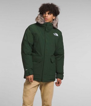 Men's The North Face McMurdo Parka Green | CANADA GPFMQW