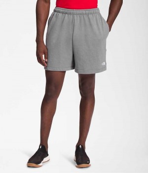 Men's The North Face Simple Logo Fleece Shorts Grey | OTTAWA WAJQZD