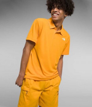 Men's The North Face Wander Polo Shirt Gold | OTTAWA RHNUCE