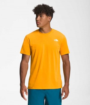 Men's The North Face Wander Short Sleeve T-Shirt Gold | CANADA LZFKPQ