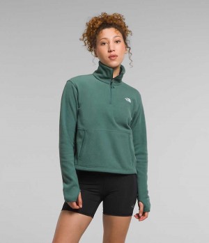 Women's The North Face Alpine Polartec® 100 ¼-Zip Cowl Sweatshirt Green | OTTAWA JKNADE