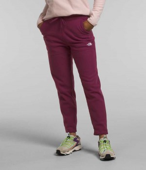 Women's The North Face Alpine Polartec® 100 Fleece Pants Burgundy | OTTAWA NQBSEY