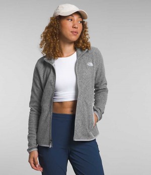 Women's The North Face Alpine Polartec® 100 Fleece Jacket Grey | OTTAWA CXDIZO