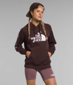 Women's The North Face Brand Proud Hoodie Brown | OTTAWA KQCDGN